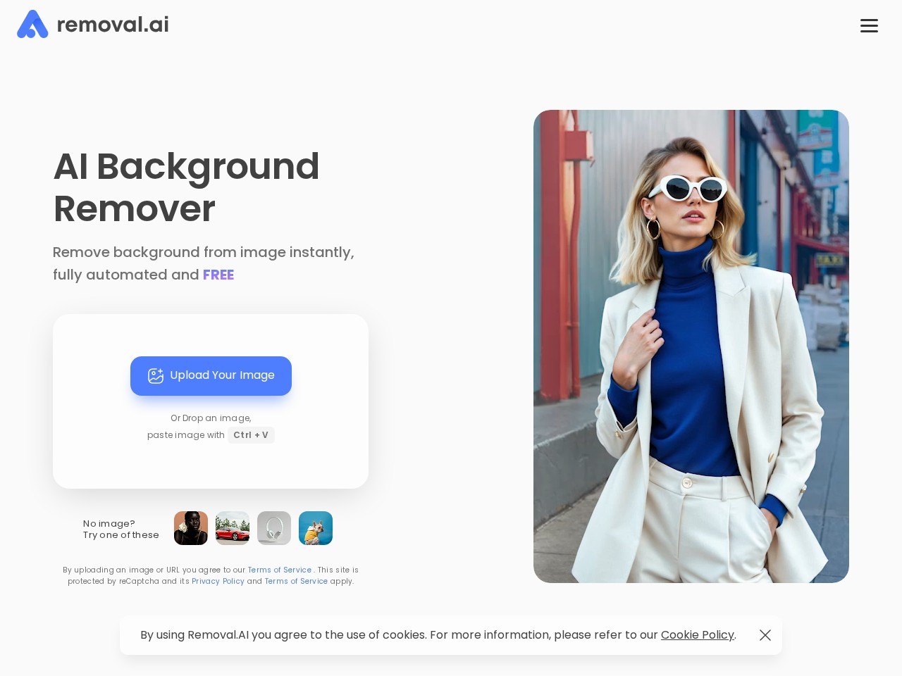 removal.ai
